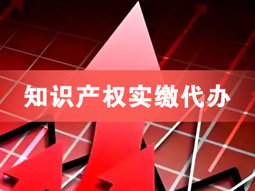 上海知识产权实缴资本代办